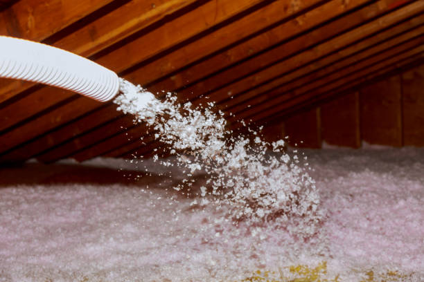 Best Residential Insulation in Lone Star, TX