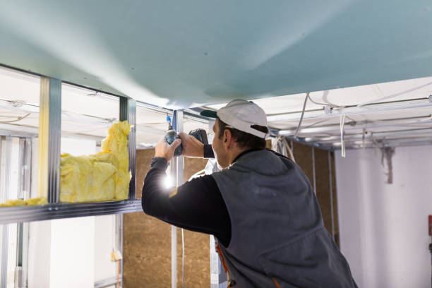 Best Specialized Insulation Services in Lone Star, TX