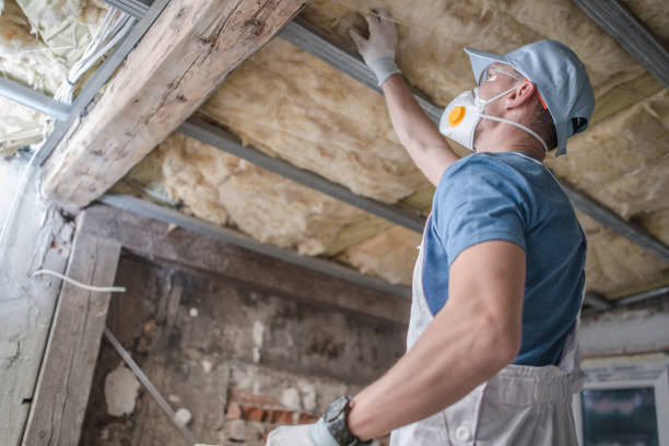 Best Cellulose Insulation in Lone Star, TX