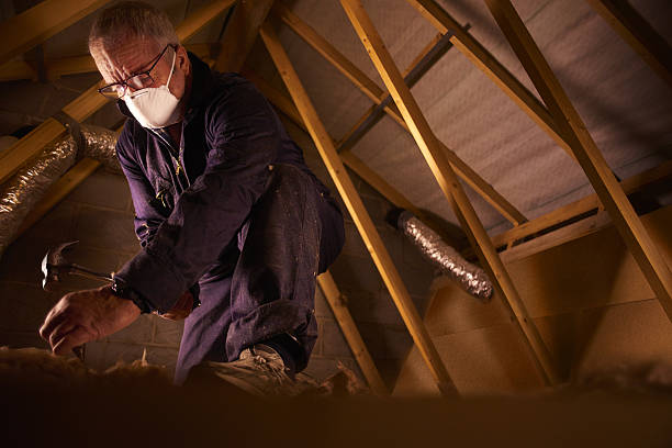 Best Spray Foam Insulation in Lone Star, TX